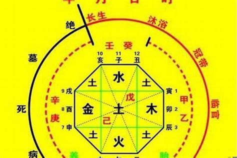 喜用神水的人特色|八字喜水人的建议 (喜用神为水的人戴什么最旺)